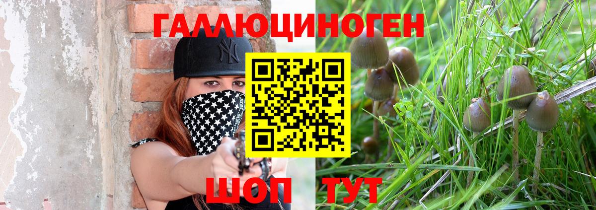 Галлюциногенные грибы MAGIC MUSHROOMS  цена наркотик  Псилоцибиновые грибы GOLDEN TEACHER  Углич  Вход с VPN 